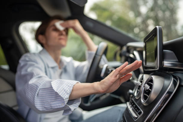 Best Affordable Air Conditioning Repair  in Elmer, NJ